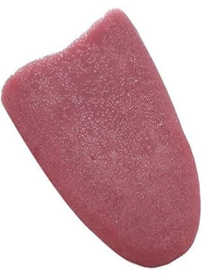 Zenarao Realistic Fake Tongue Gross Jokes Prank Magic Tricks Halloween Horrific Magicians Props Fashion Processing Magic Kits - Image 1